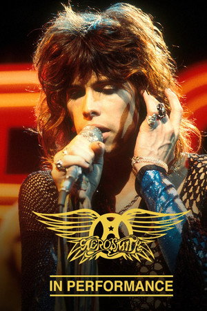 Aerosmith in Performance