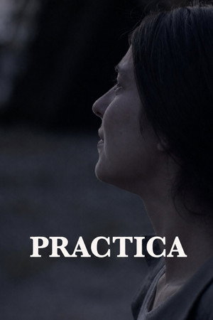 Practica Practica