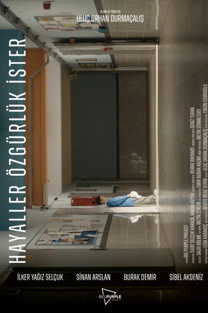 Hayaller Özgürlük İster