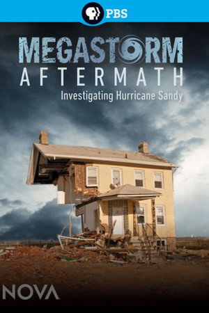 Megastorm Aftermath poster