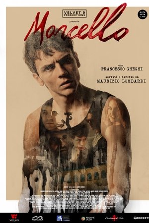 Marcello
