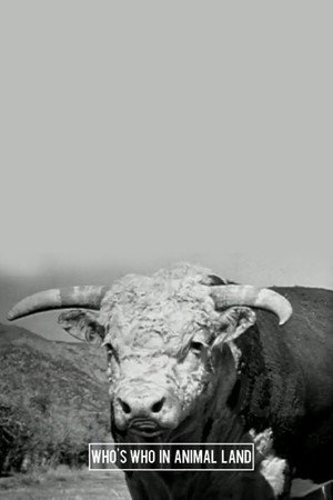 Who's Who in Animal Land poster