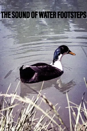 Poster of The Sound of Water Footsteps