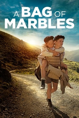 image: A Bag of Marbles