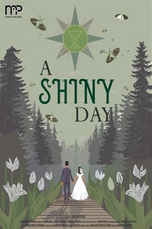 A Shiny Day