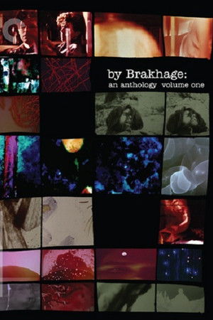 5cjknr0qbg3a9o446czg3ieuvnj