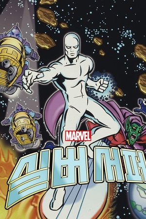 실버 서퍼