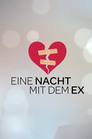 Eine Nacht mit dem Ex