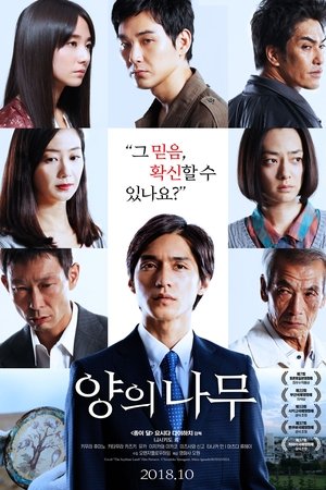 양의 나무
