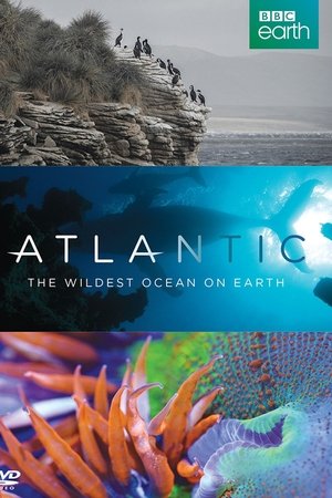 Atlantic: The Wildest Ocean on Earth