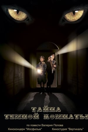 A Dark Room Mystery
