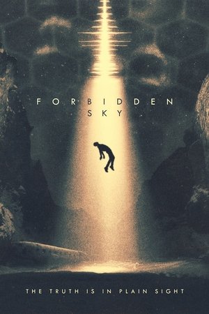 Forbidden Sky