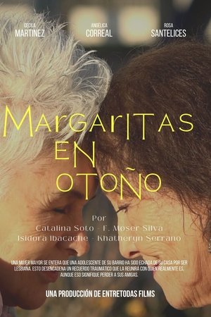Margaritas en otoño