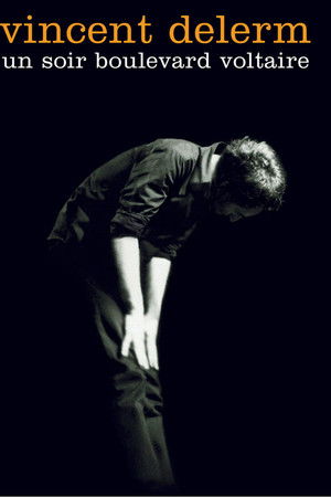 Vincent Delerm - Un soir boulevard Voltaire