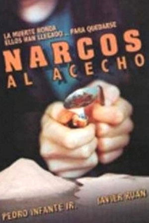 Narcos al acecho