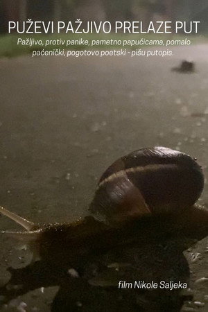 Snails Steadily Stroll the Street poster