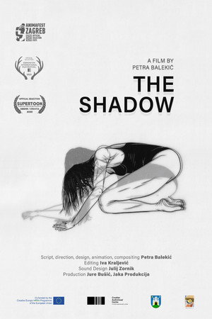 The Shadow poster