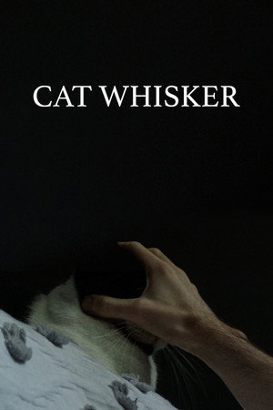 Cat Whisker Cat Whisker