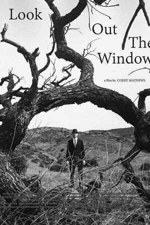Look Out The Window poster