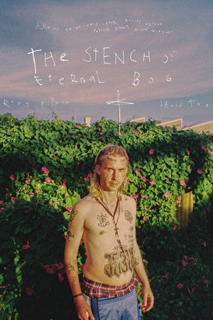 The Stench of Eternal Bog poster