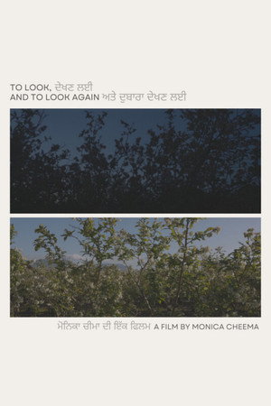 To Look, and to Look Again poster
