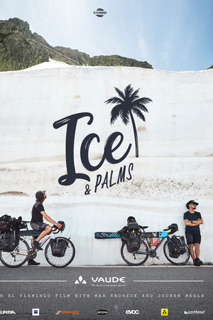 Ice & Palms