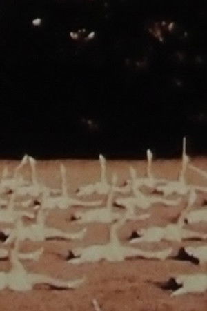 5flmcbhocqjxfdcq3dd8olcqpnx