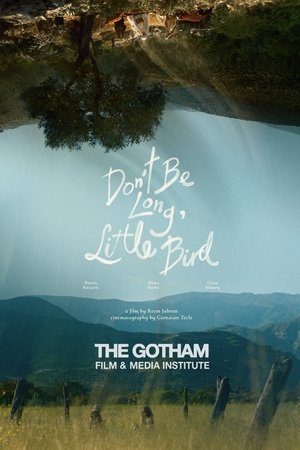 Don't Be Long, Little Bird