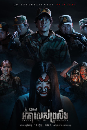 Alone in the Darkness poster