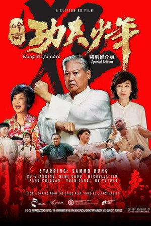 Kung Fu Juniors