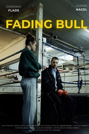 Fading Bull