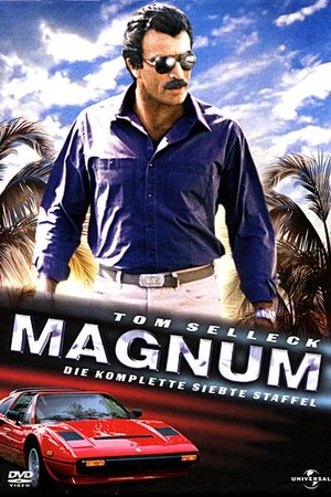 Magnum