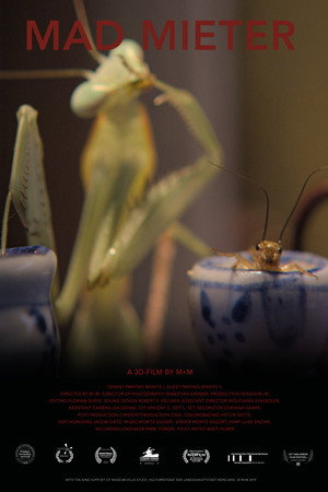 Mad Mieter poster