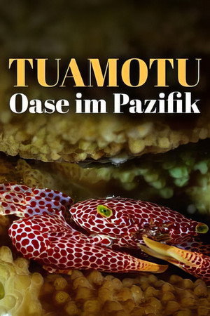 Wild Tuamotus poster