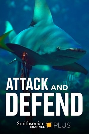 Attack and Defend