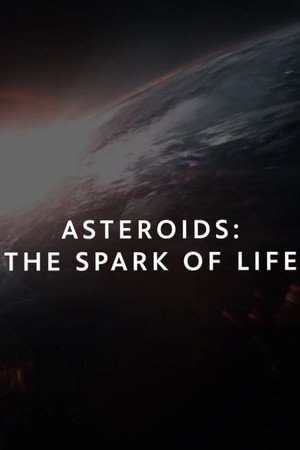 Asteroids: The Spark of Life? Asteroids: The Spark of Life?