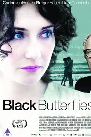 image: Black Butterflies