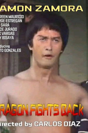 Dragon Fights Back