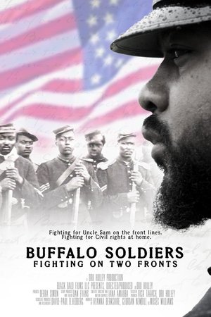 Buffalo Soldiers Fighting On Two Fronts Buffalo Soldiers Fighting On Two Fronts