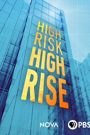 High-Risk High-Rise poster