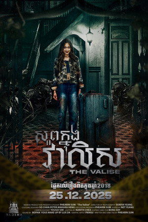 The Valise poster