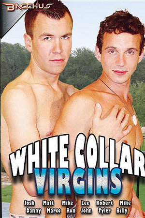 White Collar Virgins