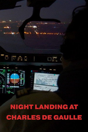 Night Landing At Charles De Gaulle poster