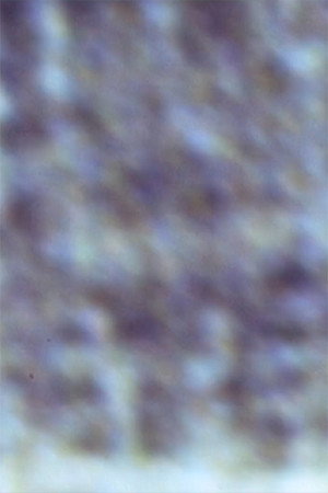 Gioconda/Film poster