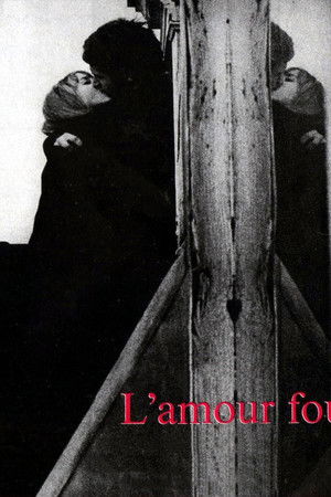 61ce3sz8jarolvmhz767oarknsc