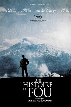 Une histoire de fou