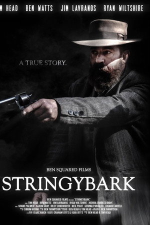 Stringybark Stringybark