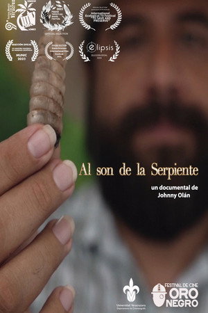 Al son de la serpiente poster