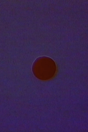 Dawn Creation poster