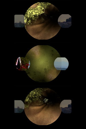 A Very Long Gif poster